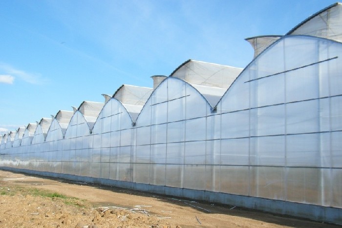 12x20 12 X 8 12 X 6 Polycarbonate Greenhouse With Cooling System And Heating System Roof Film Side