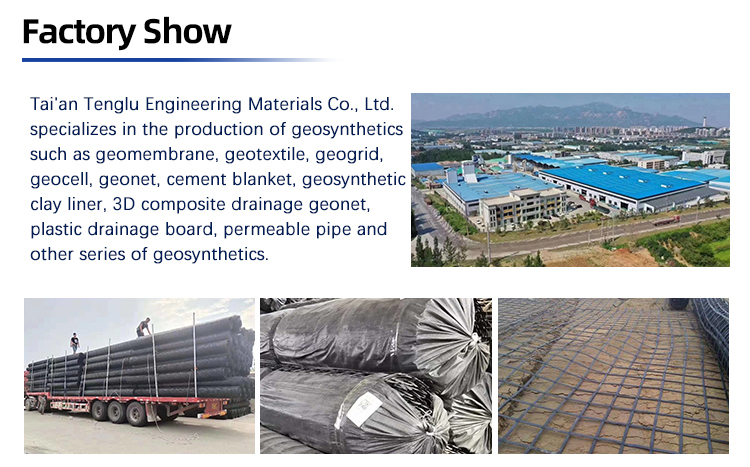 Traditional Design Road Construction Composite Geogrids for Anti-Corrosion and Highway