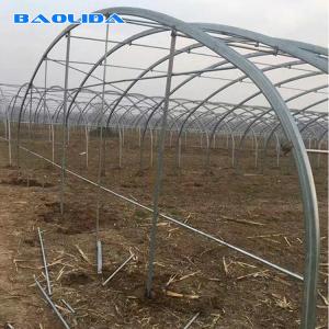 Quality Double Arches Double Film Greenhouse 10m Width Tunnel Plastic Greenhouse wholesale