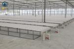 Greenhouse Vegetables Lettuce Grow Hydroponic System NFT Vertical Hydroponic