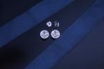 Women Stamped Diamond 925 Sterling Earrings Stud Zirconia Jewellery