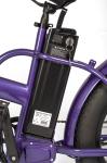 Man's Folding Electric Bike Customized with 9.6 AH Battery Capacity and Disc