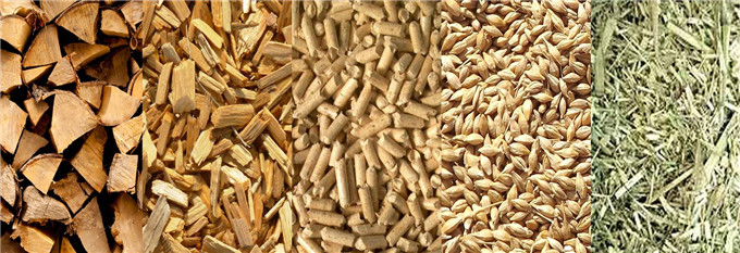 Energy Efficient and Environmentally Sustainable Biomass Boiler Green Retrofit Construction
