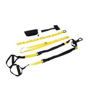 Quality Indoor 2 Belts Long Resistance Bands , 210CM Suspension Trainer Bands wholesale