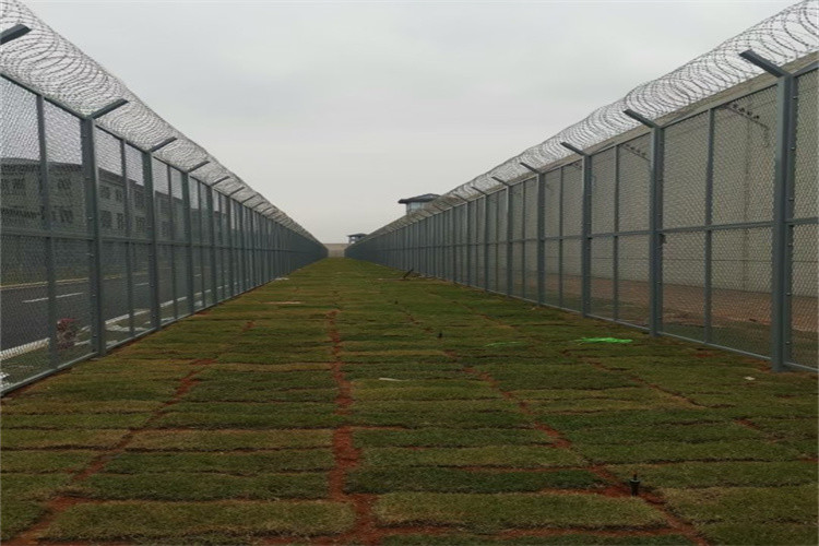 Hot Dip High Security Razor Barbed Wire Mesh Panel Fence Razor Wire Mesh Fence Form China Factory