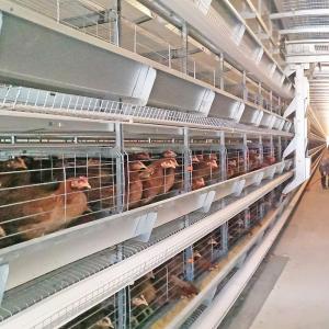 Quality H Type Poultry Battery Cages Automatic Egg Layer Chicken Farm Laying Hens wholesale