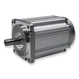 Quality 8 Poles Dielectric Strength 500VAC Brushless E Motor wholesale
