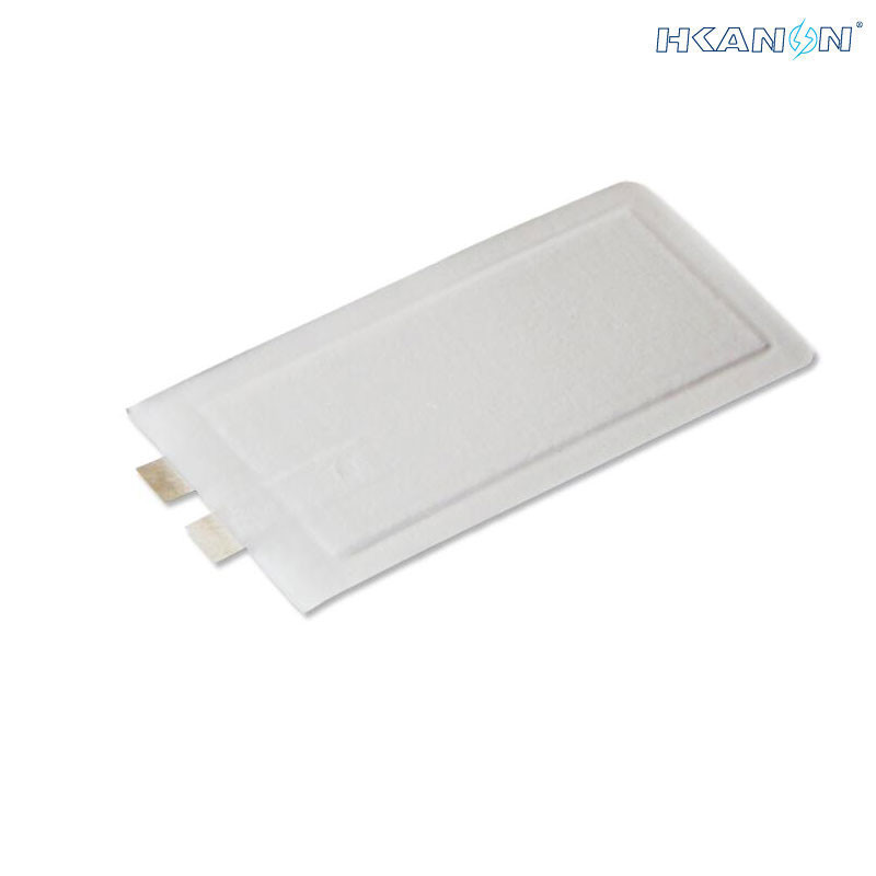 Pouch Lithium Li Ion Lifepo4 Battery Cells Lightweight 3.7v 40ah For Solar Storage