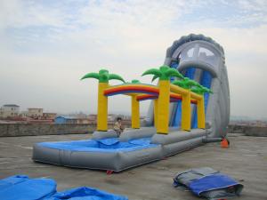 Quality Rental Inflatable Water Slide for Sale wholesale