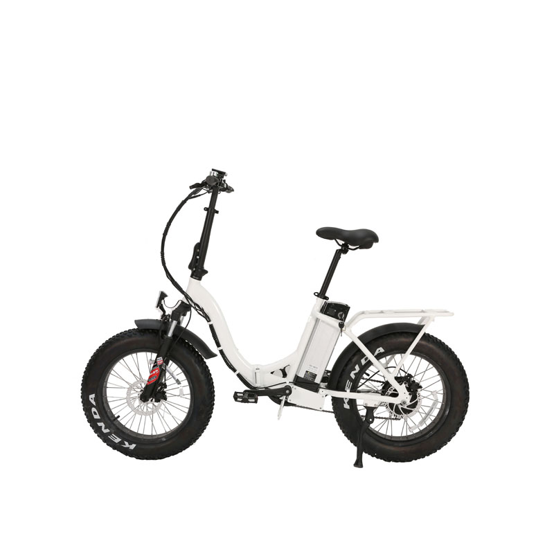 Light Weight Frame Ebike with 20 Inch Snow Fat Tire 48V 13Ah Battery Charging Time 3 hours