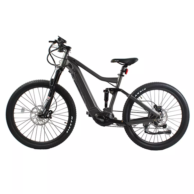 48V 20AH Lithium-ion Battery Mid Motor Bike for Adults Dirt Mountain Electric Bike