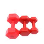 OEM 10kg Plastic Cement Power Training Dumbbells Colorful