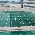 Weather Resistant 1.2g/Cm3 solid polycarbonate roofing sheets With Anti UV