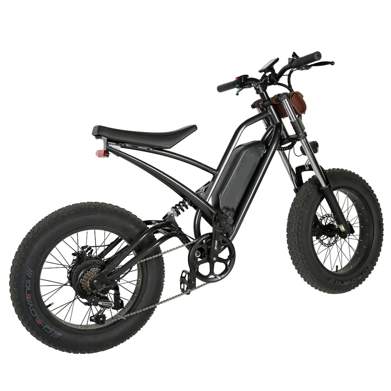 DOMANCA 750W High Speed Dirt Bike Off-road Fat Tire Ebike Customized E Bike Motorcycle