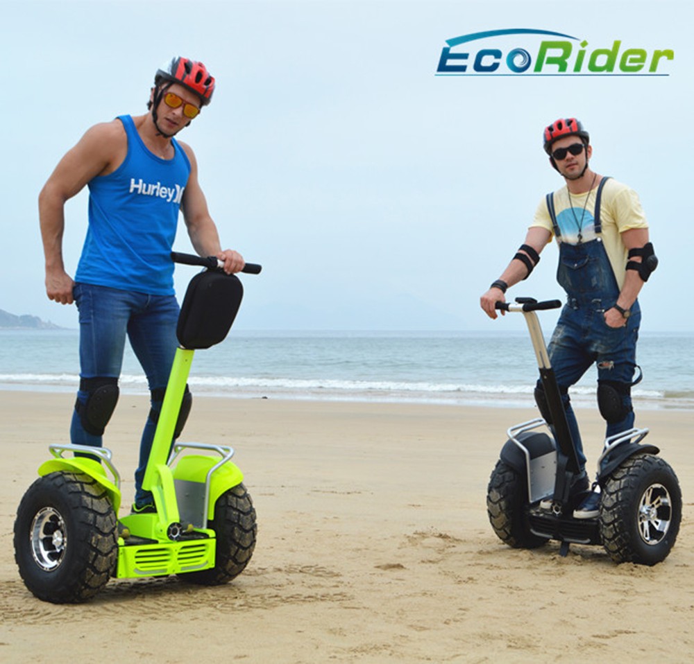 Carbon Foldable Electric Scooter with 350 Watt Brushless Motor , Electric Kick Scooter