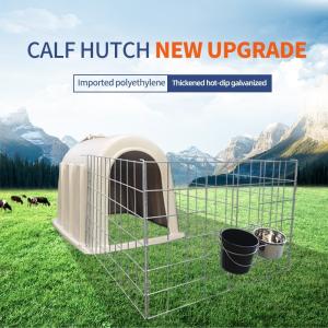 Quality Long Service Life 3-6 monthes Calf Hutches With Hot - Galvanized Steel Pipe Fence wholesale