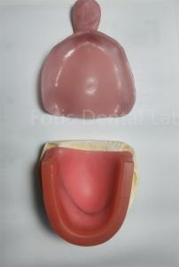 Quality Hygienic Dental Bleaching Tray Set For Upper Or Lower Teeth Whitening wholesale