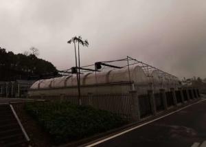 Quality Agriculture Plastic Film Greenhouse With Inside Shading And Insulation wholesale