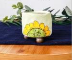Succulent Plant Ceramic Pot for Home and Garden Decoration