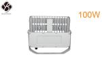 100W Outdoor Modular LED Tunnel Flood Lights Meanwell Driver Landscape Lighting