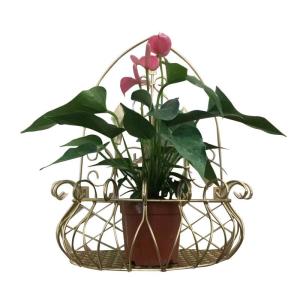 Quality Green Flower Stand Hanging Wall Indoor Balcony Hanging Semi-Circular Flower Stand wholesale