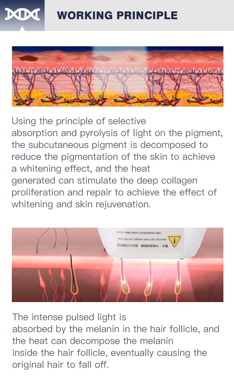 IPL Laser Single Pulse Technology Hair Removal Device Elight+IPL Skin Rejuvenation Machine