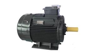 Quality Cast Iron Asynchronous Inverter Motors Three Phase Inverter Duty wholesale