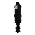 Shacman Truck Shock Absorber DZ14251440060 for X3000