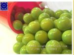 Professional Paintball Encapsulation Machine / Paintball Manufacturing Machine