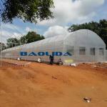 Side Ventilation Single Span Vegetable Growing Polyethylene Film Greenhouse