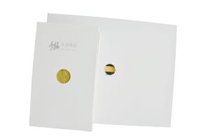 Quality White Anti-Static Rock Wool / Holllow MGO Cleanroom Panels For Chemical Industry wholesale