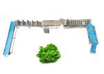 CE Certified Stainless Steel Commercial Vegetable Washer Washing Line Vegetable