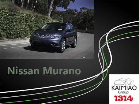 Fashion Electric Side Steps , Welcome Pedal Power Step Running Boards For Nissan