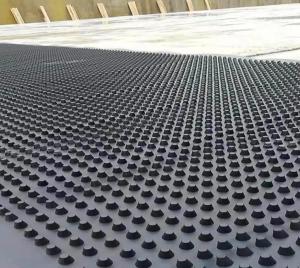 Quality Black HDPE Plastic Drainage Board For Roof Greening wholesale