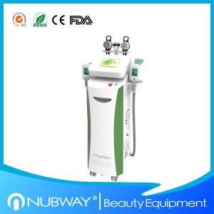 Quality Salon use professional fat freezing cryolipolysis slimming machine long working hours wholesale
