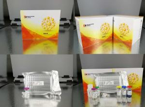 Quality High Precision Canine Hpt Sandwich Elisa Assay Kit With 96 Well Plate wholesale