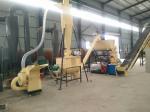 cattel cow SKJ 450 feed pellet line1500kg per hour for Paraguay client