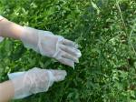 M Transparent Plastic Tpe Powder Free Disposable Gloves 100pcs