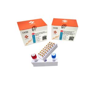 Quality Porcine Circovirus Type 2 Porcine Dna Test Kit PCR Nucleic Acid Test Micgene wholesale