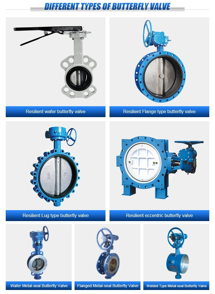 Low Temperature Cast Iron Wafer Lug Type Butterfly Valve Distributor