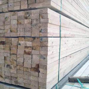 Quality Low Moisture Content Poplar 1mm Timber Wood Construction wholesale