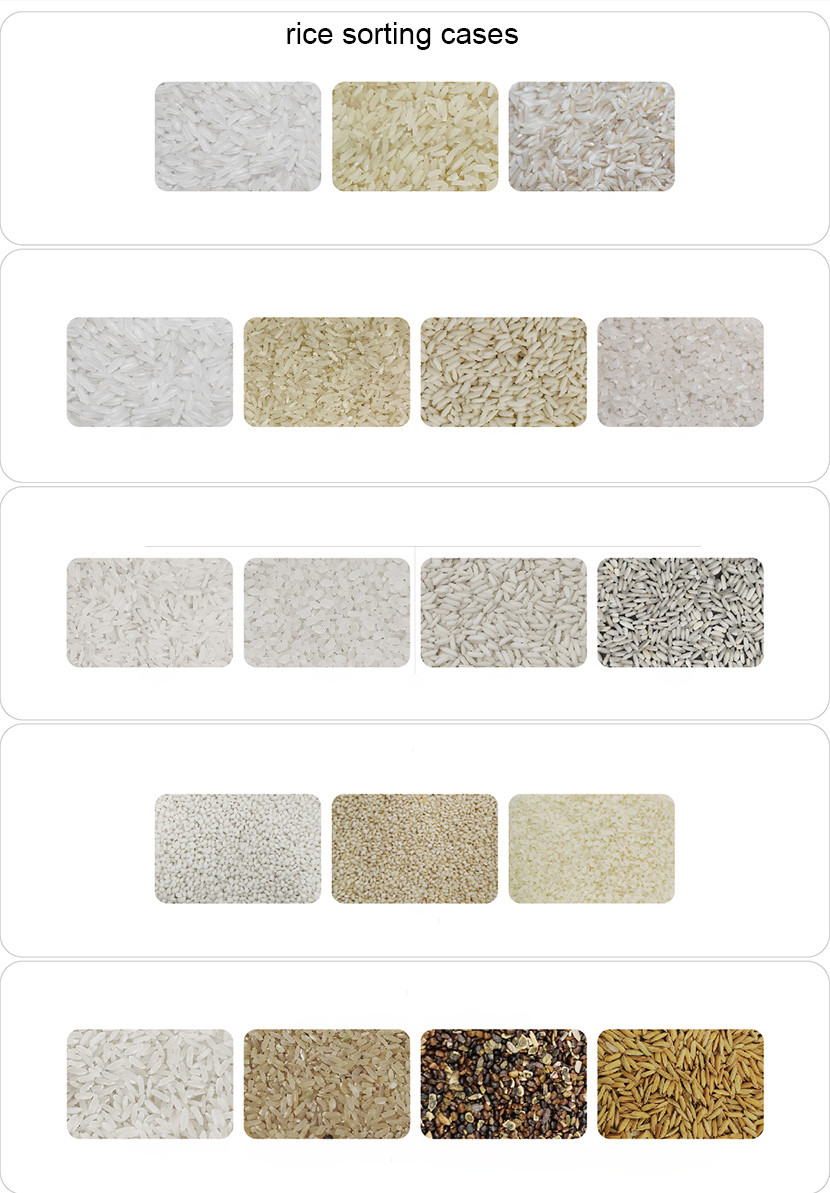 Artificial Intelligent Rice Colour Sorting Machine 256 Channel