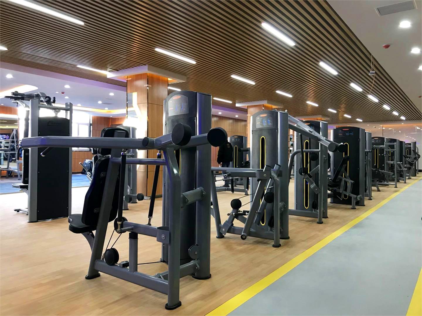 Hot Selling High Quality Commercial Gym Equipment Kickback Glute Machine
