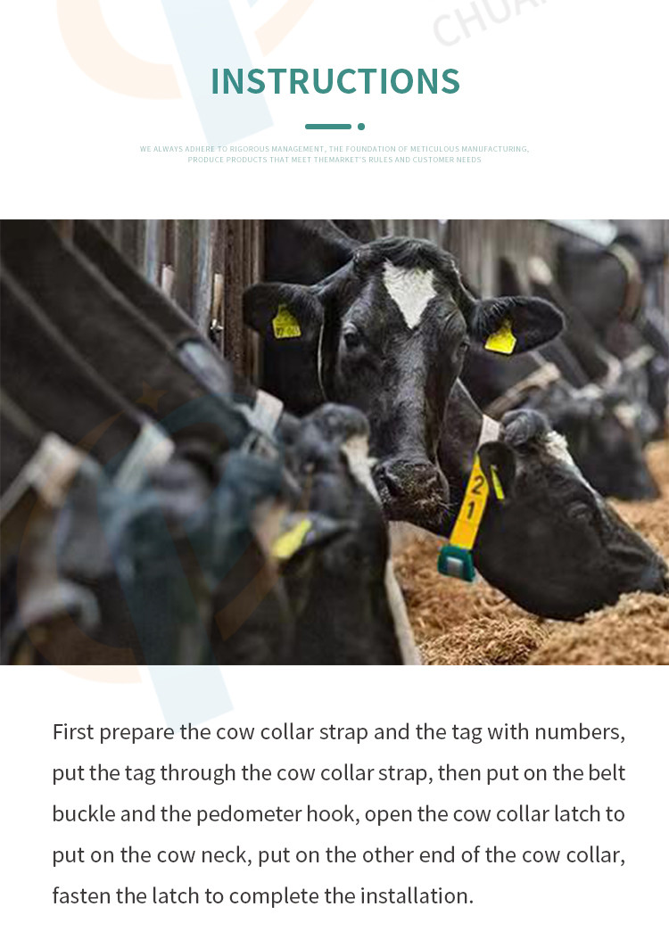 Livestock Management Waterproof EVA Cow Collar Number Set With Digital Coding