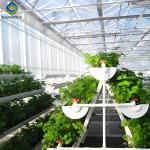Large Size Hydroponic Farming Greenhouse For Vegetable Fruits Growth