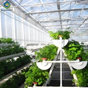 Quality Large Size Hydroponic Farming Greenhouse For Vegetable Fruits Growth wholesale