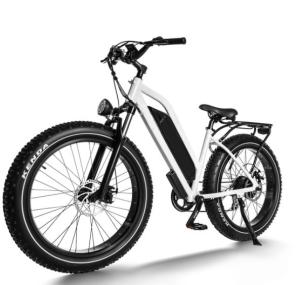 Quality 40-50km 700W Electric Bicycle Fat Bike 7 Speed Black wholesale