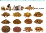 Multifunctional Dry Kibble Pet Food Extrusion Equipment for Food and Beverage