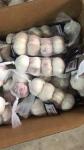 Anti Cancer Natural Fresh Garlic