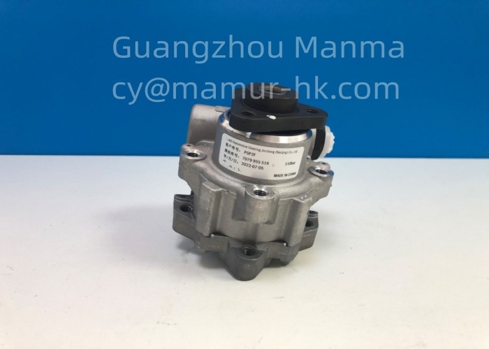 3407010-850 Truck Auto Part Power Steering Pump For QINGLING 600P Euro 3/4